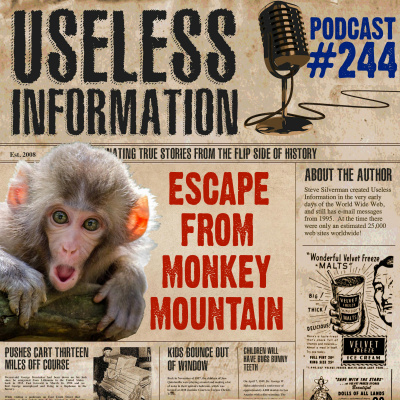 Useless Information Podcast