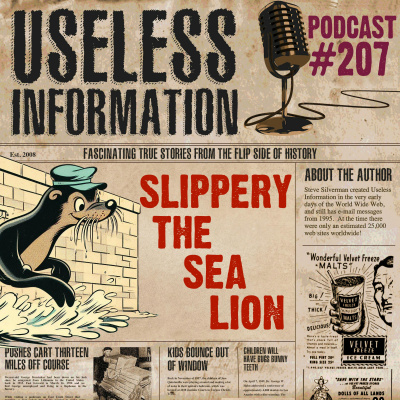 Useless Information Podcast