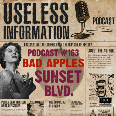Useless Information Podcast