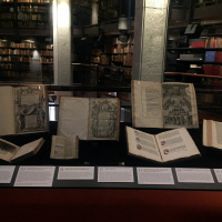 Shakespeare Exhibition - Case 3