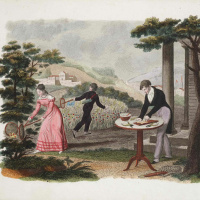 Nature on the Page - The Collection and the Research