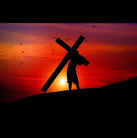 Crosses to Bear - Hartshorn Murphy