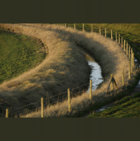 View from the ditch - The Rev. Jon Dephouse