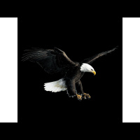 Eagles United Ministries Full Gospel Church| Kingdom Living