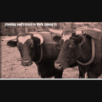 Allowing God’s Grace to Work Among Us