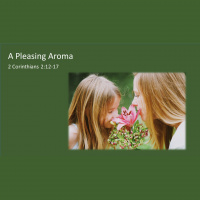 A Pleasing Aroma-2 Corinthians 2:12-17