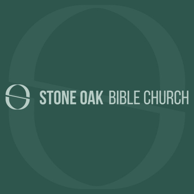 Stone Oak Bible