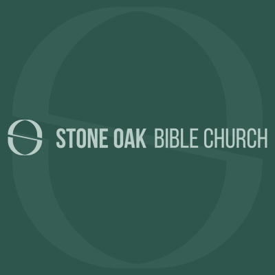 Stone Oak Bible