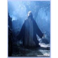 El Huerto de mi corazón