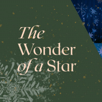 The Wonder of a Star