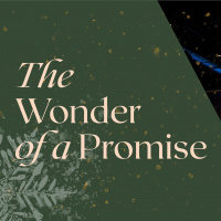 The Wonder of a Promise