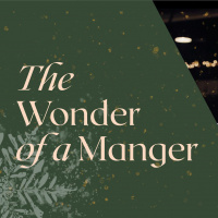 The Wonder of a Manger