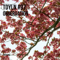 TDYLN 0097 – Observation (25 April 2018)