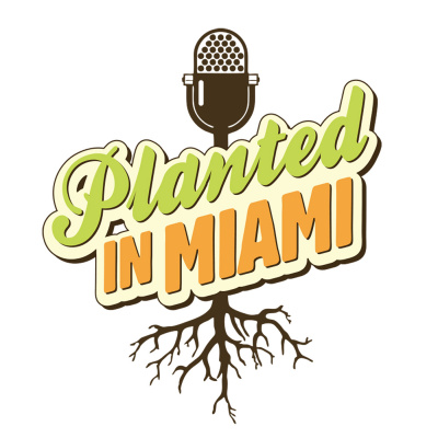Planted In Miami