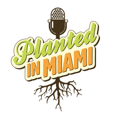 Planted In Miami