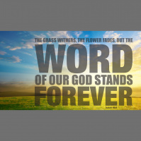 The Word of God #2, Is Our Bible Really Gods Word? (Audio)