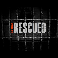 Galatians 2:1-10 Truth, Liberty, Unity (Audio)