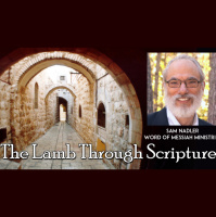 The Lamb Through Scripture - Audio