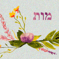 THE FALL | Cains Fall