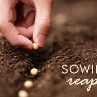 Sowing and Reaping