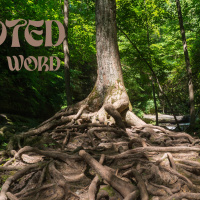 Rooted in the Word