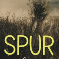 Israels Spies Exploring Canaan