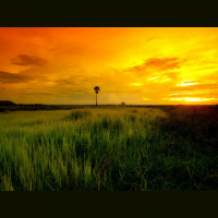 Cambodia Missions with Saul Paul Kes and His Personal Christian Conversion from Buddhism - Audio