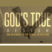 The Sexual Revolution  the Christian Response - Is there Such a Thing As a Gay Christian? - Audio