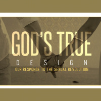 Gods True Design - Is Homosexuality Really a Sin? - Audio