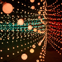 #136 — Digital Humanism