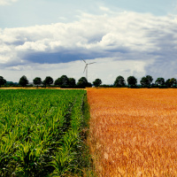 #74 — What Should We Eat?