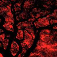 #46 — The End of Faith Sessions 3