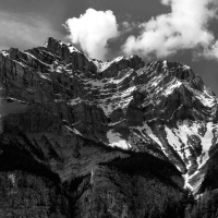 #39 — Free Will Revisited