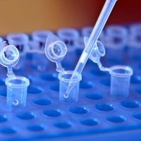 #106 — Humanity 2.0