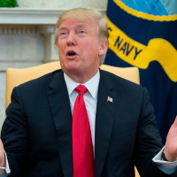 # 118 — The View from Trumpistan