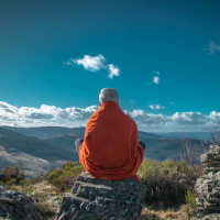 #96 — The Nature of Consciousness