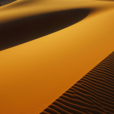 Waking Up With Sam Harris