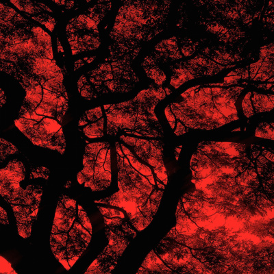 Waking Up With Sam Harris