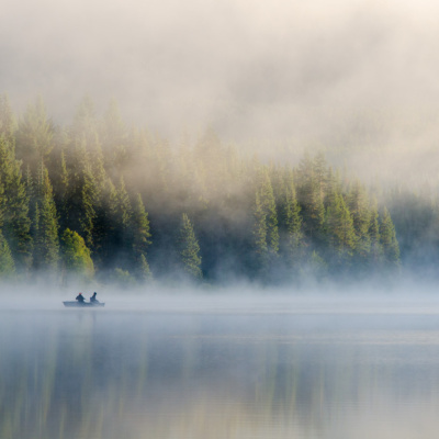 Waking Up With Sam Harris