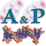 Dr. Michaeleen Bonner