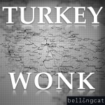 Turkey Wonk