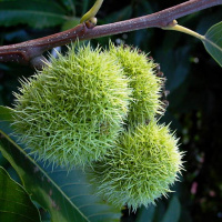 Charrando con El Perdido 001-2º temporada