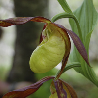 Charrando con El Perdido 013