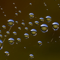 Charrando Cap 3 Temp 2