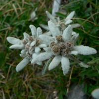 Charrando con El Perdido 003