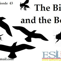 The Birds and the Bees (Episode 43)