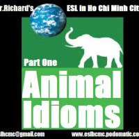 Episode 37 - Animal Idioms - Part One