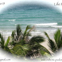 Episode 15 - Life Project