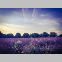 286. The Wedding Episode