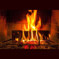 245. Merry Christmas! (+ other news)